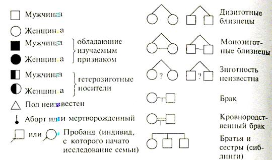 Условные обозначения в генеалогическом древе. Генеалогический метод обозначения. Символы родословной. Генеалогическое Древо символ. Символы генеалогического метода.